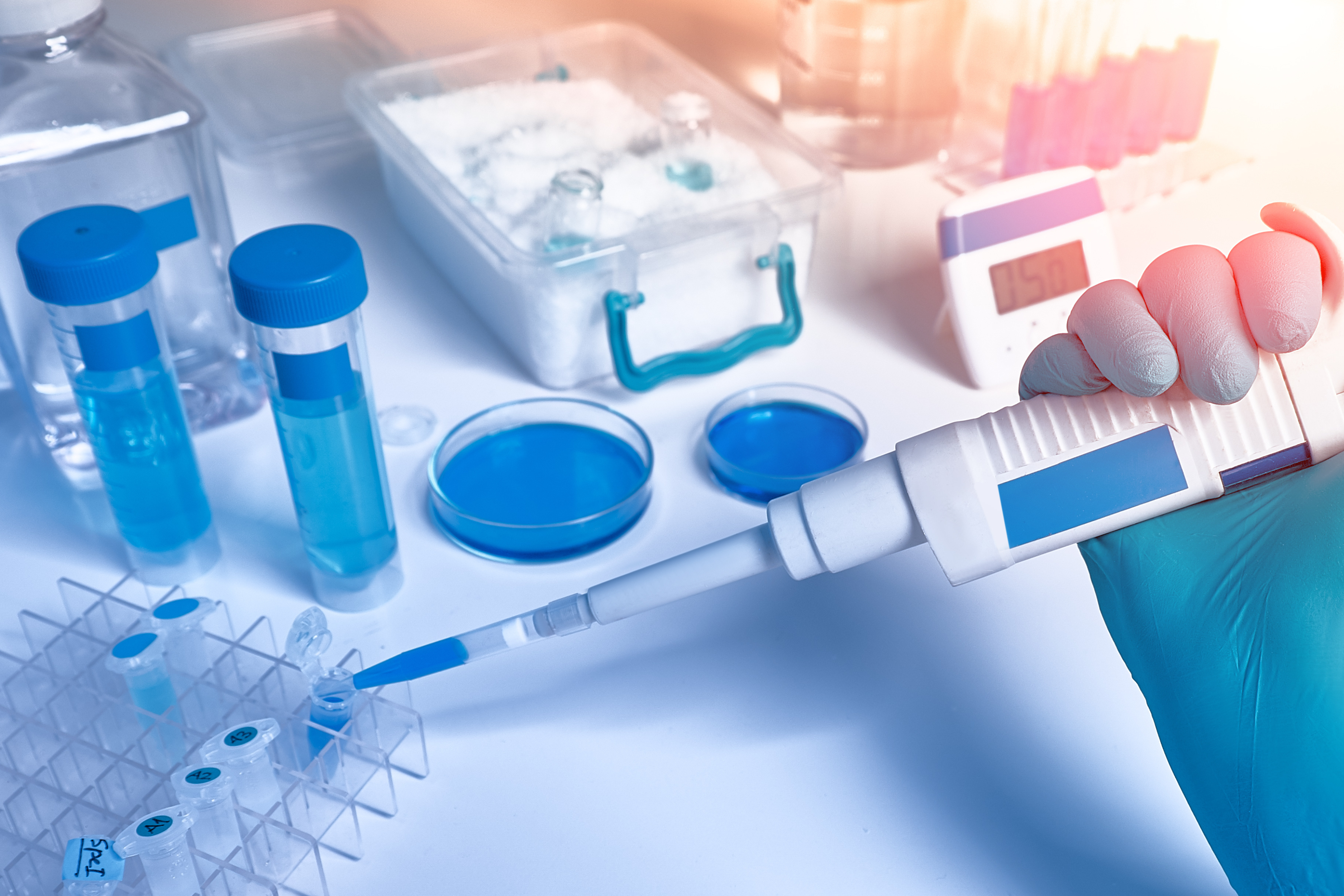 Unlocking the Power Within: Embracing Genetic Insights for Optimal Methylation