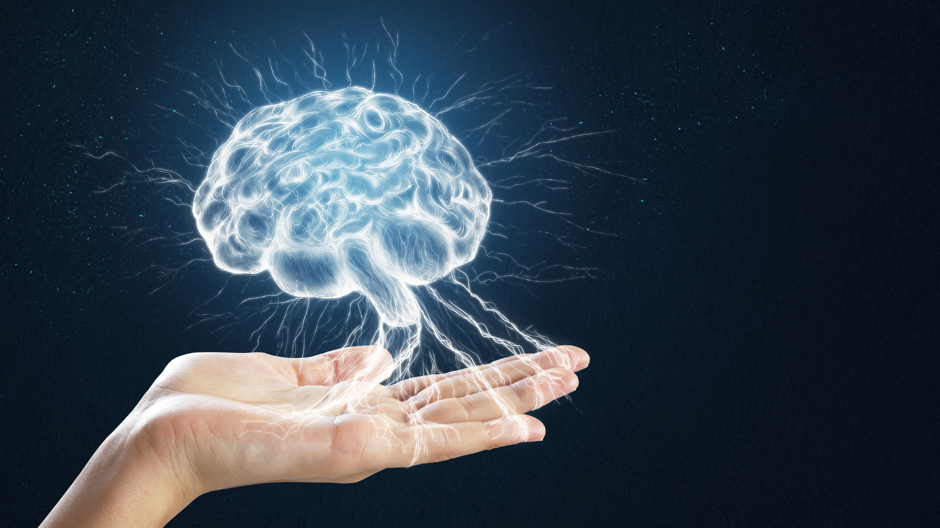 Understanding the Link Between DHEA and Cognitive Performance