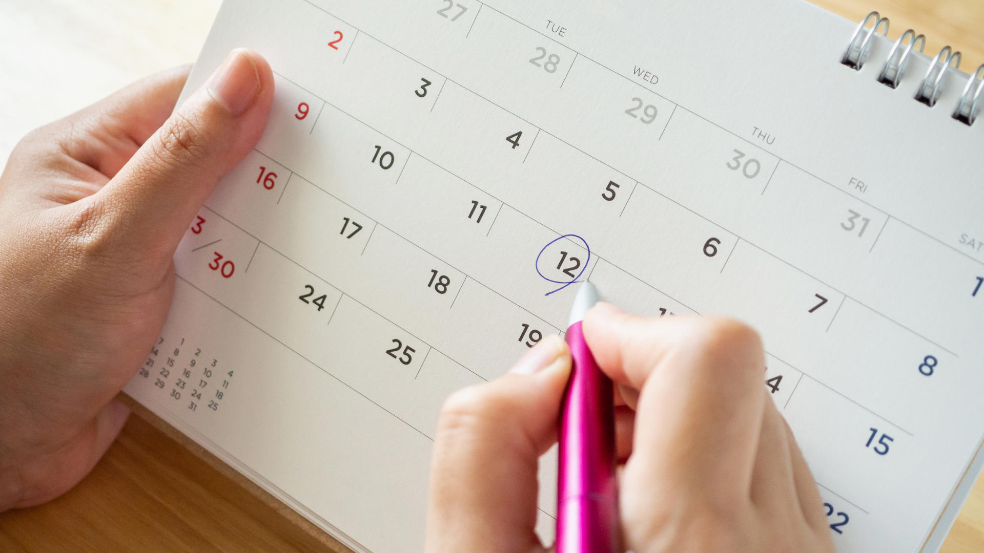 The Power of Routine: Weekly Longevity Habits for a Healthier Life